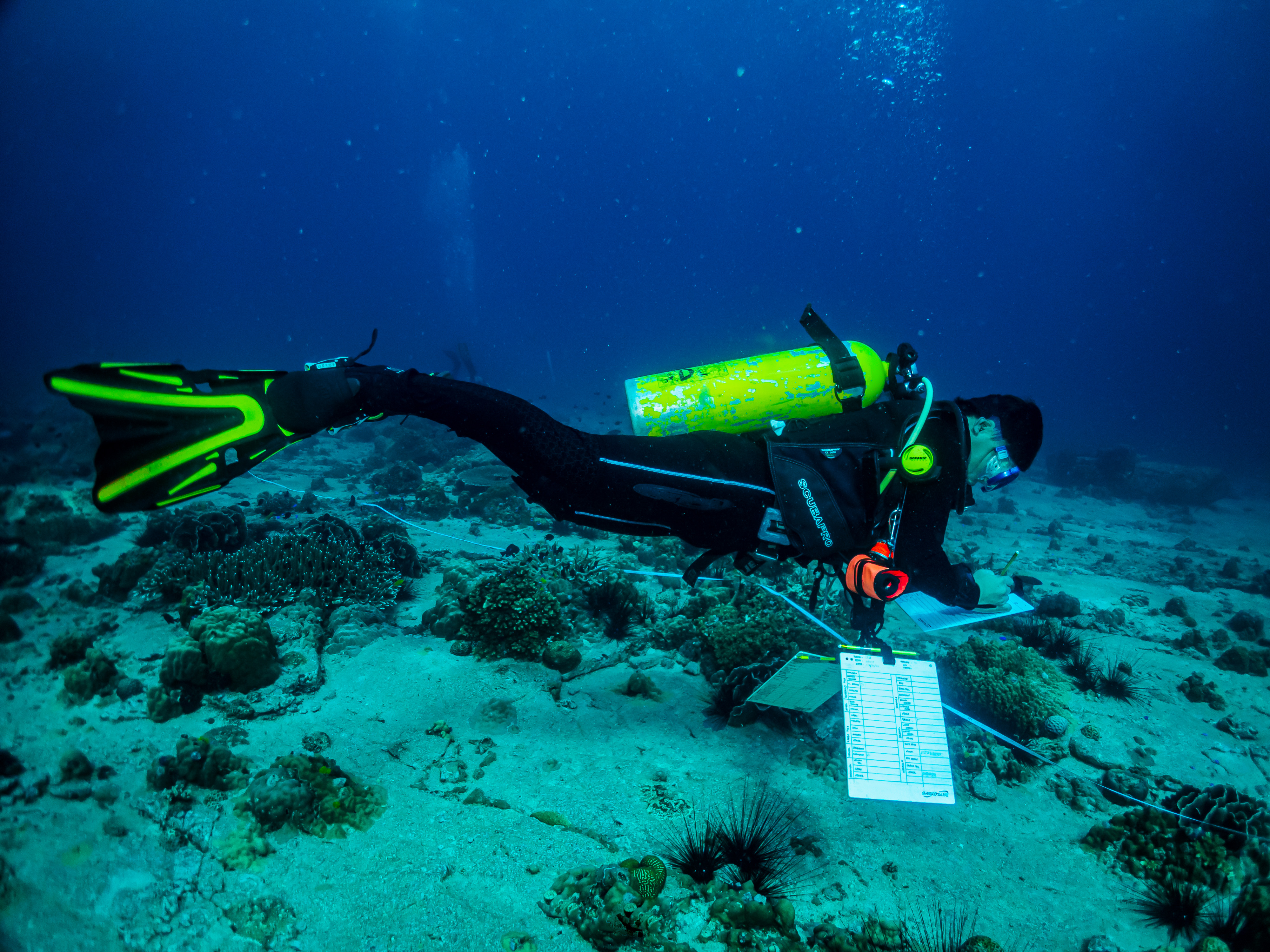 Coral reef monitoring in Cambodia coastal waters